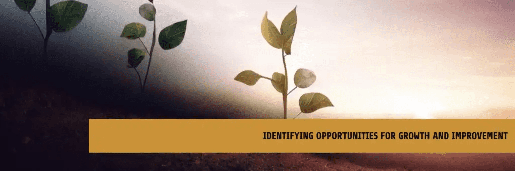 Identifying opportunities for growth and improvement 1024x341 1 Digital marketing due diligence: what private equity firms need to know when evaluating potential investments