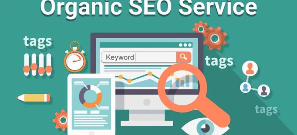 SEO Services